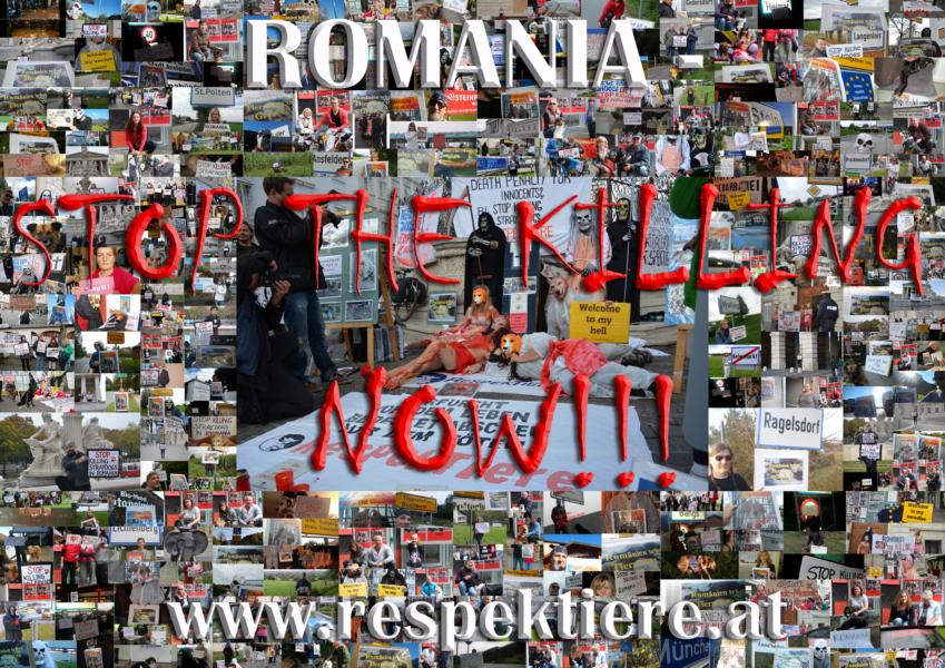 K800 Rumänien die Collage